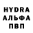 Каннабис индика Sans Rei