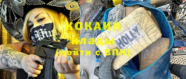 ГАЛЛЮЦИНОГЕННЫЕ ГРИБЫ Дмитриев