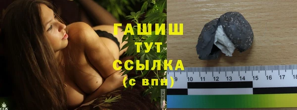ГАЛЛЮЦИНОГЕННЫЕ ГРИБЫ Дмитриев