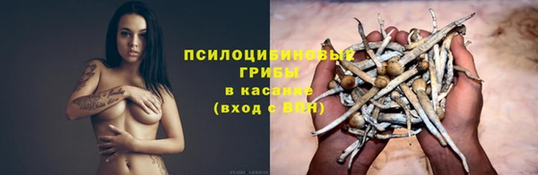 первитин Бутурлиновка