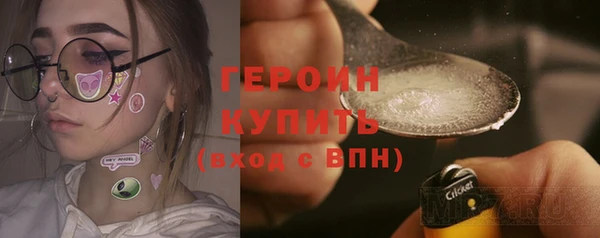 ГАЛЛЮЦИНОГЕННЫЕ ГРИБЫ Дмитриев