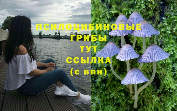 мет Ельня
