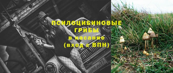 СК Валдай