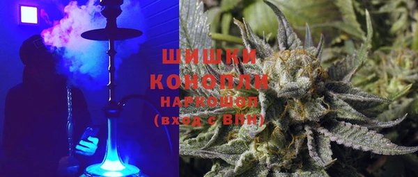 ГАЛЛЮЦИНОГЕННЫЕ ГРИБЫ Дмитриев