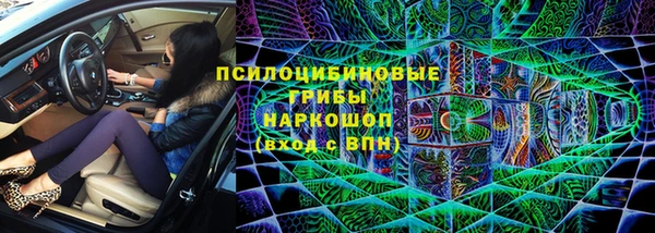 ГАЛЛЮЦИНОГЕННЫЕ ГРИБЫ Дмитриев